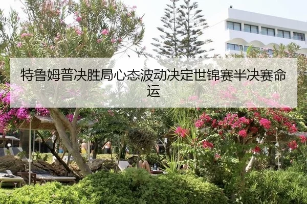 te-lu-mu-pu-jue-sheng-ju-xin-tai-bo-dong-jue-ding-shi-jin-sai-ban-jue-sai-ming-yun-3-300.jpg