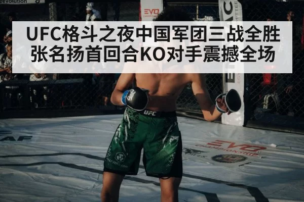 UFC格斗之夜中国军团三战全胜 张名扬首回合KO对手震撼全场